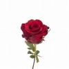 image-category-24