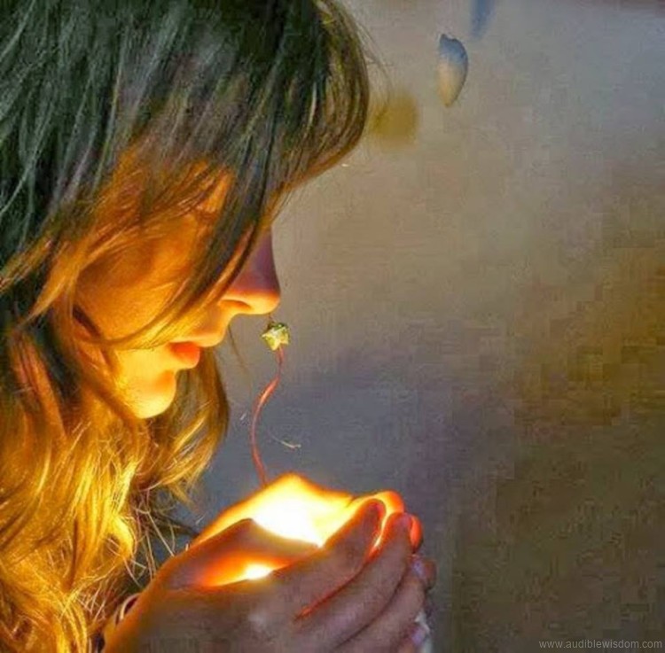 078 Enlightenment and Illumination