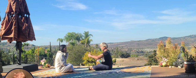 HARMONIC HEALING SESSION 