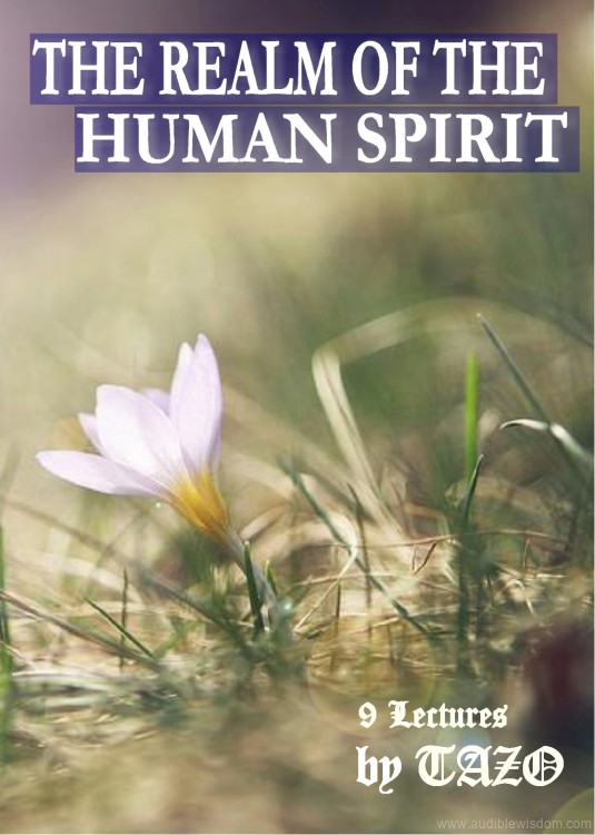 005 The Realm of the Human Spirit