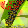 The Eden Code I, An Ebook by Tazo 