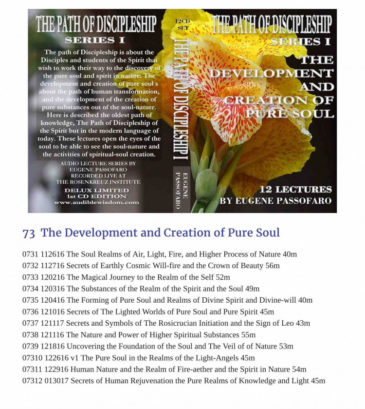 073 - The Development and Creation of Pure Soul  - 12 Class Lessons ORDER THIS CLASS 